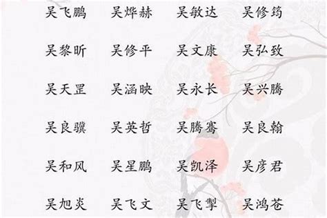 吳姓取名|姓吴男孩名字大全